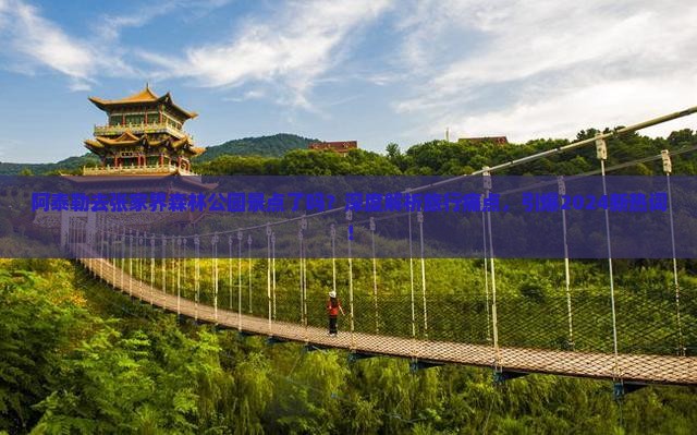 阿泰勒去张家界森林公园景点