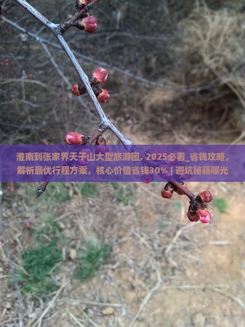 淮南到张家界天子山大型旅游团