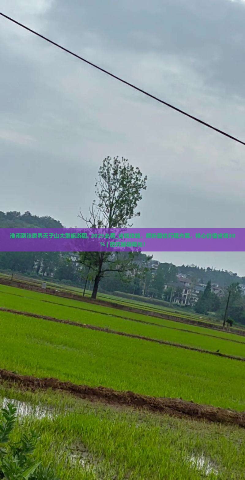 淮南到张家界天子山大型旅游团