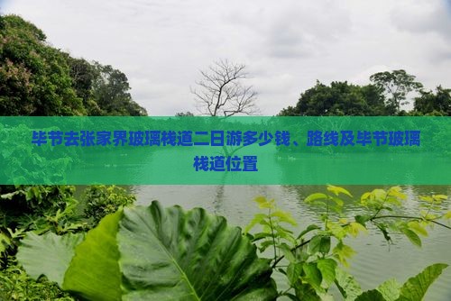 毕节去张家界玻璃栈道二日游
