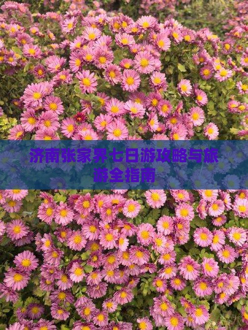 济南去张家界天子山七日游