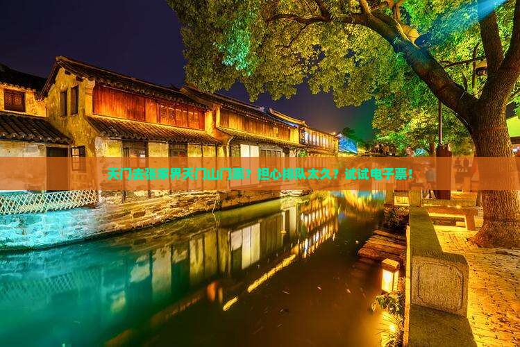 天门去张家界天门山门票？担心排队太久？试试电子票！