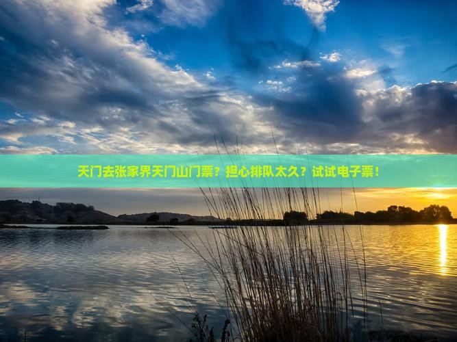 天门去张家界天门山门票？担心排队太久？试试电子票！