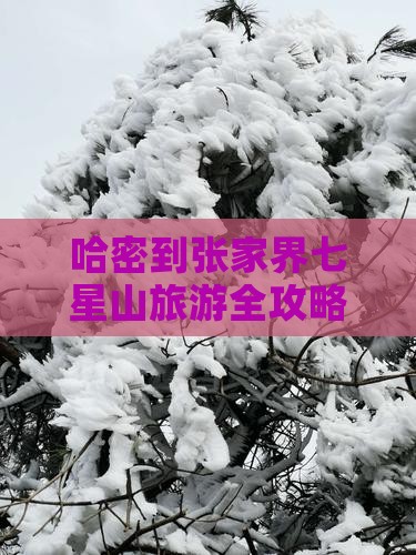 哈密到张家界七星山旅游全攻略