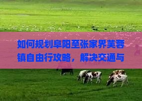 如何规划阜阳至张家界芙蓉镇自由行攻略，解决交通与住宿痛点？