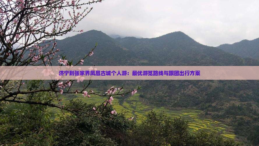 济宁到张家界凤凰古城个人游：最优游览路线与跟团出行方案