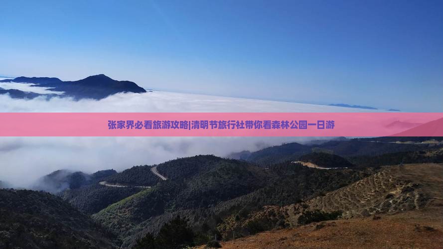 张家界必看旅游攻略|清明节旅行社带你看森林公园一日游