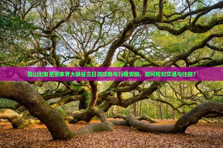 眉山出发至张家界大峡谷三日游攻略与行程安排，如何规划交通与住宿？