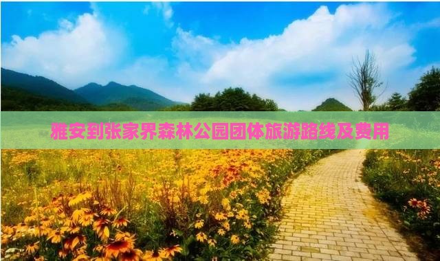 雅安到张家界森林公园团体旅游路线及费用