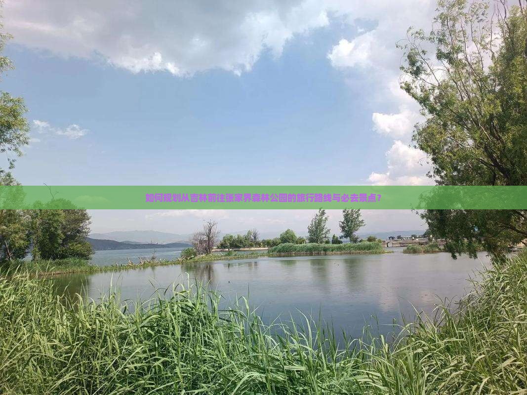 如何规划从吉林前往张家界森林公园的旅行路线与必去景点？