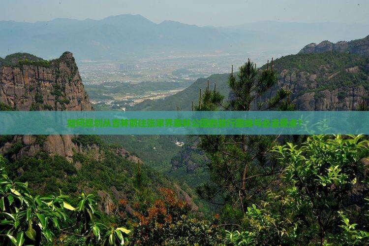 如何规划从吉林前往张家界森林公园的旅行路线与必去景点？