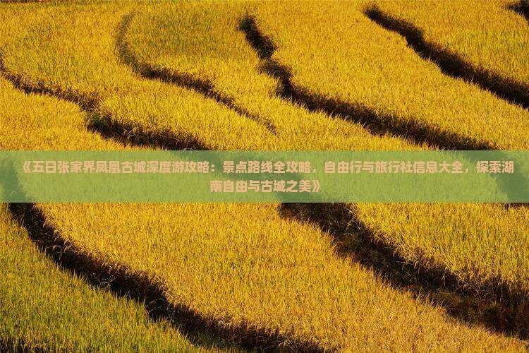 《五日张家界凤凰古城深度游攻略：景点路线全攻略，自由行与旅行社信息大全，探索湖南自由与古城之美》