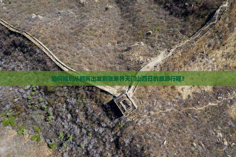 如何规划从鹤岗出发到张家界天门山四日的旅游行程？