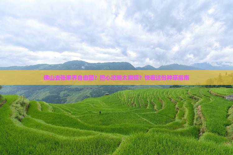 佛山去张家界自由团？担心攻略太麻烦？快看这份种草指南