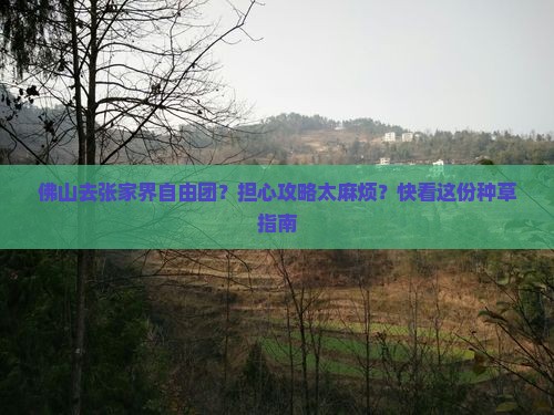 佛山去张家界自由团？担心攻略太麻烦？快看这份种草指南