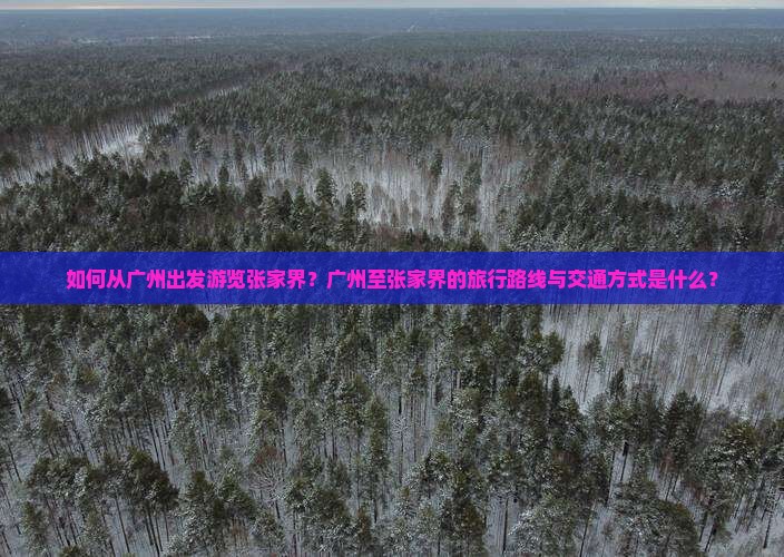 如何从广州出发游览张家界？广州至张家界的旅行路线与交通方式是什么？