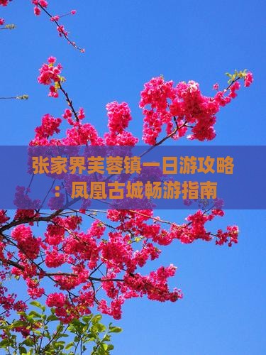 张家界芙蓉镇一日游攻略：凤凰古城畅游指南