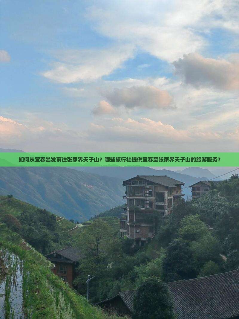 如何从宜春出发前往张家界天子山？哪些旅行社提供宜春至张家界天子山的旅游服务？