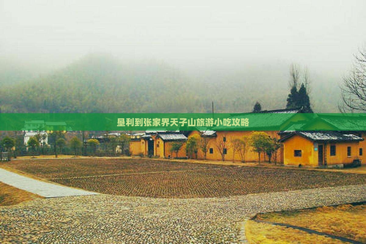 垦利到张家界天子山旅游小吃攻略