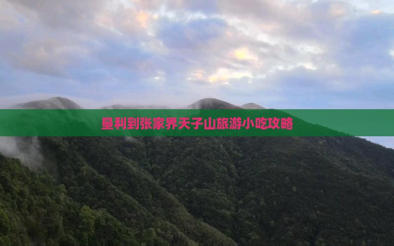 垦利到张家界天子山旅游小吃攻略