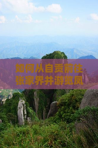 如何从自贡前往张家界并游览凤凰古城景点？