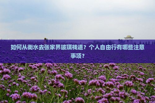 如何从衡水去张家界玻璃栈道？个人自由行有哪些注意事项？