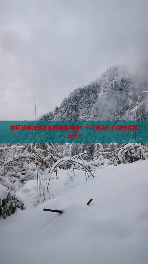 如何从衡水去张家界玻璃栈道？个人自由行有哪些注意事项？