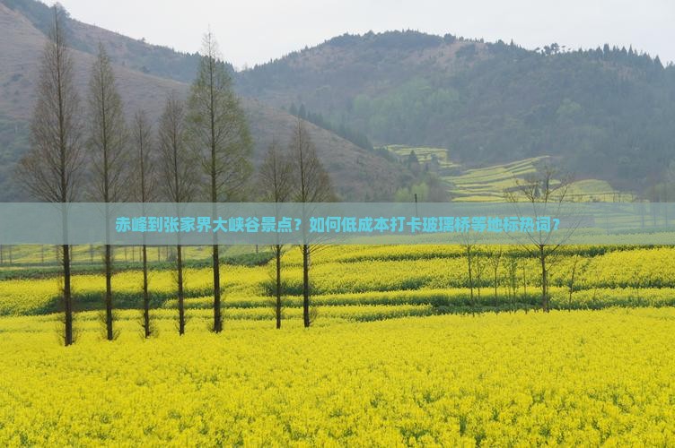 赤峰到张家界大峡谷景点？如何低成本打卡玻璃桥等地标热词？
