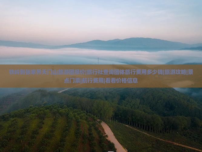 铁岭到张家界天门山旅游团报价|旅行社查询团体旅行费用多少钱|旅游攻略|景点门票|航行费用|看看价格信息