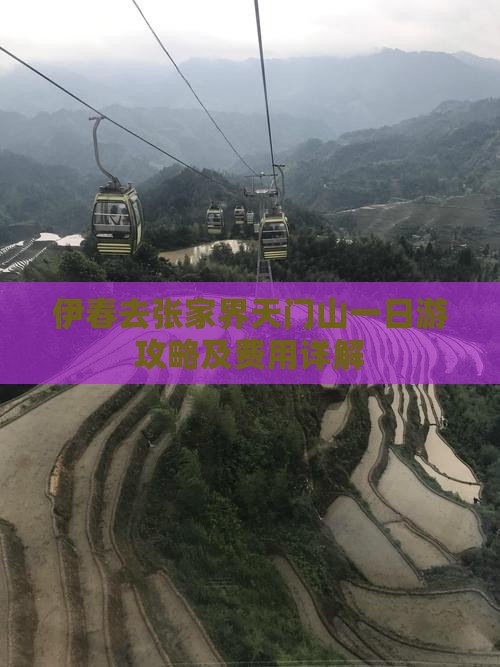伊春去张家界天门山一日游攻略及费用详解