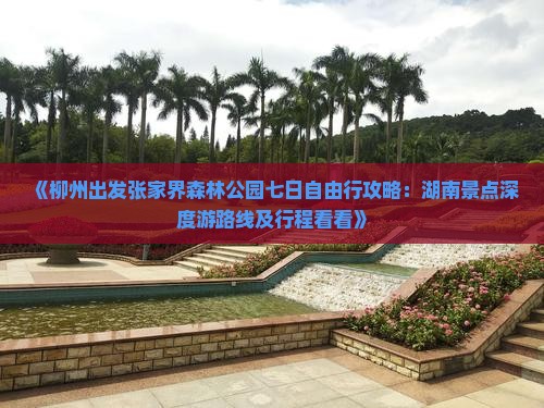 《柳州出发张家界森林公园七日自由行攻略：湖南景点深度游路线及行程看看》