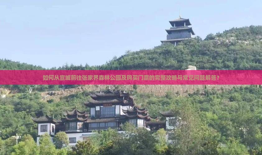 如何从宣城前往张家界森林公园及购买门票的完整攻略与常见问题解答？