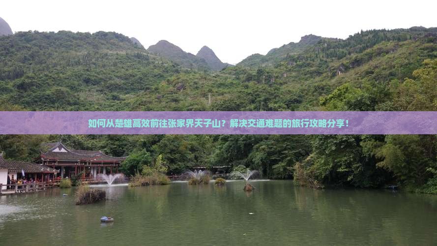 如何从楚雄高效前往张家界天子山？解决交通难题的旅行攻略分享！