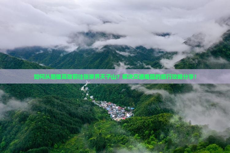 如何从楚雄高效前往张家界天子山？解决交通难题的旅行攻略分享！