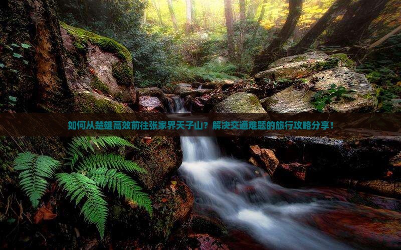 如何从楚雄高效前往张家界天子山？解决交通难题的旅行攻略分享！