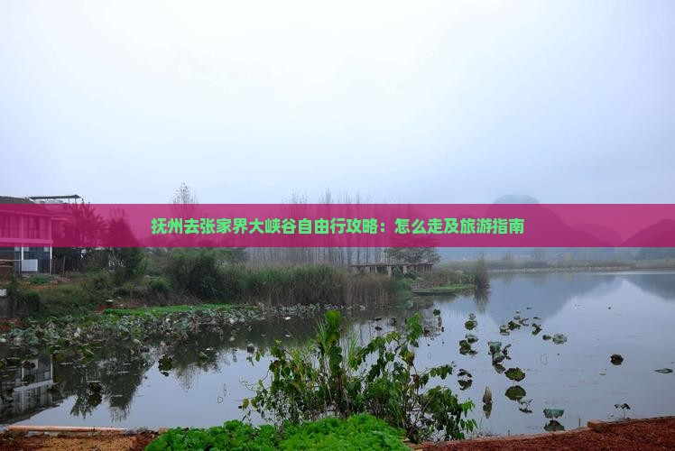 抚州去张家界大峡谷自由行攻略：怎么走及旅游指南
