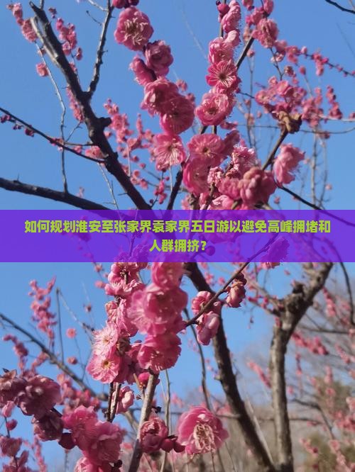 如何规划淮安至张家界袁家界五日游以避免高峰拥堵和人群拥挤？