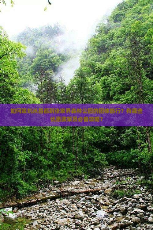 如何策划从昌都到张家界森林公园的团体旅行？有哪些优惠政策及必备攻略？