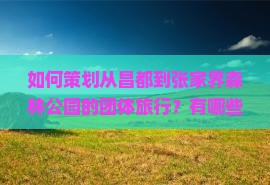 如何策划从昌都到张家界森林公园的团体旅行？有哪些优惠政策及必备攻略？