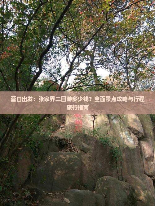 营口出发：张家界二日游多少钱？全面景点攻略与行程旅行指南