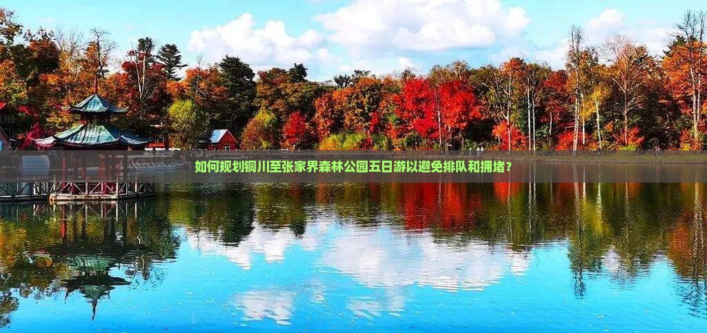 如何规划铜川至张家界森林公园五日游以避免排队和拥堵？