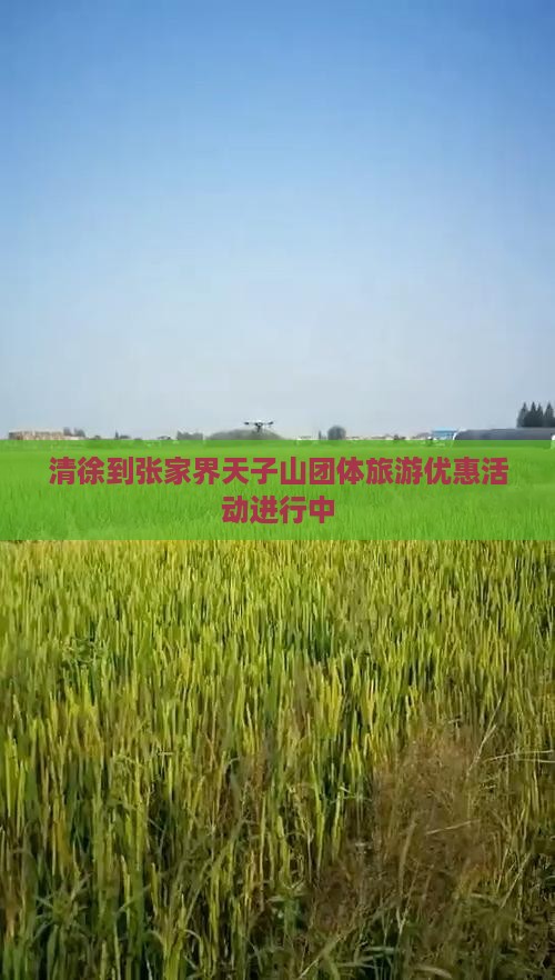 清徐到张家界天子山团体旅游优惠活动进行中