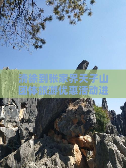 清徐到张家界天子山团体旅游优惠活动进行中