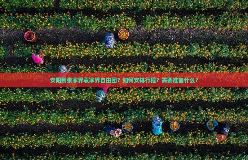 安阳到张家界袁家界自由团？如何安排行程？需要准备什么？