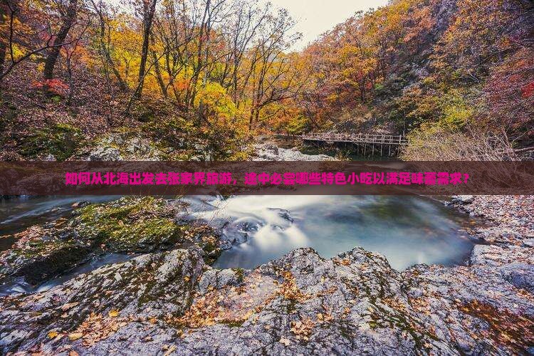 如何从北海出发去张家界旅游，途中必尝哪些特色小吃以满足味蕾需求？