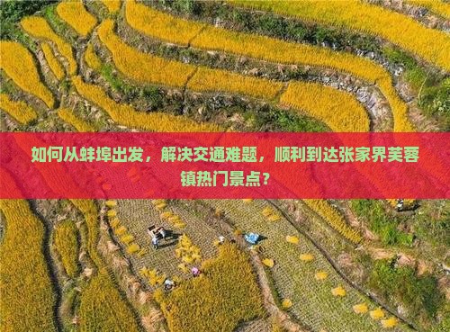 如何从蚌埠出发,解决交通难题,顺利到达张家界芙蓉镇热门景点? 如何从蚌埠出发,解决交通难题,顺利到达张家界芙蓉镇热门景点?