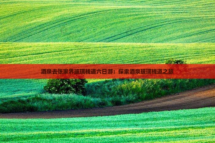 酒泉去张家界玻璃栈道六日游：探索酒泉玻璃栈道之旅