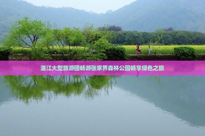 湛江大型旅游团畅游张家界森林公园畅享绿色之旅