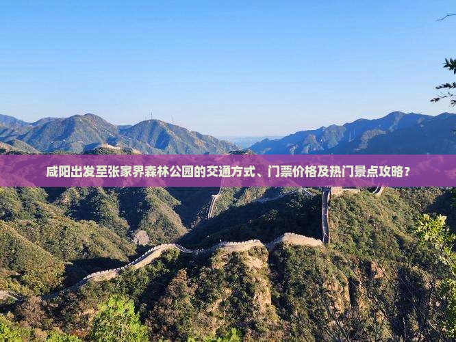 咸阳出发至张家界森林公园的交通方式、门票价格及热门景点攻略？