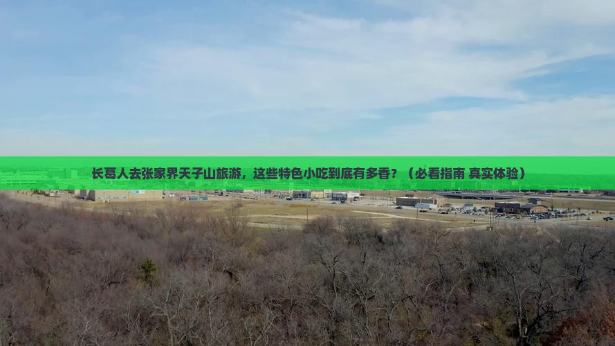 长葛到张家界天子山旅游小吃